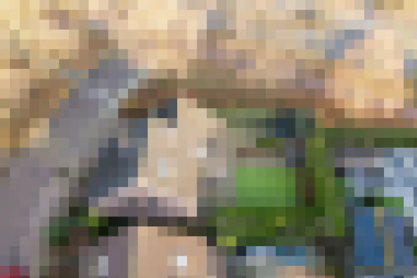 Stokekker 69 Bladel thumbnail 53