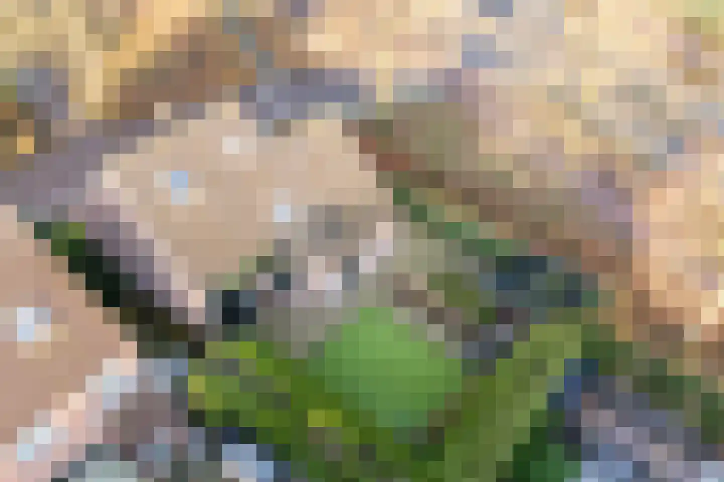 Stokekker 69 Bladel thumbnail 54