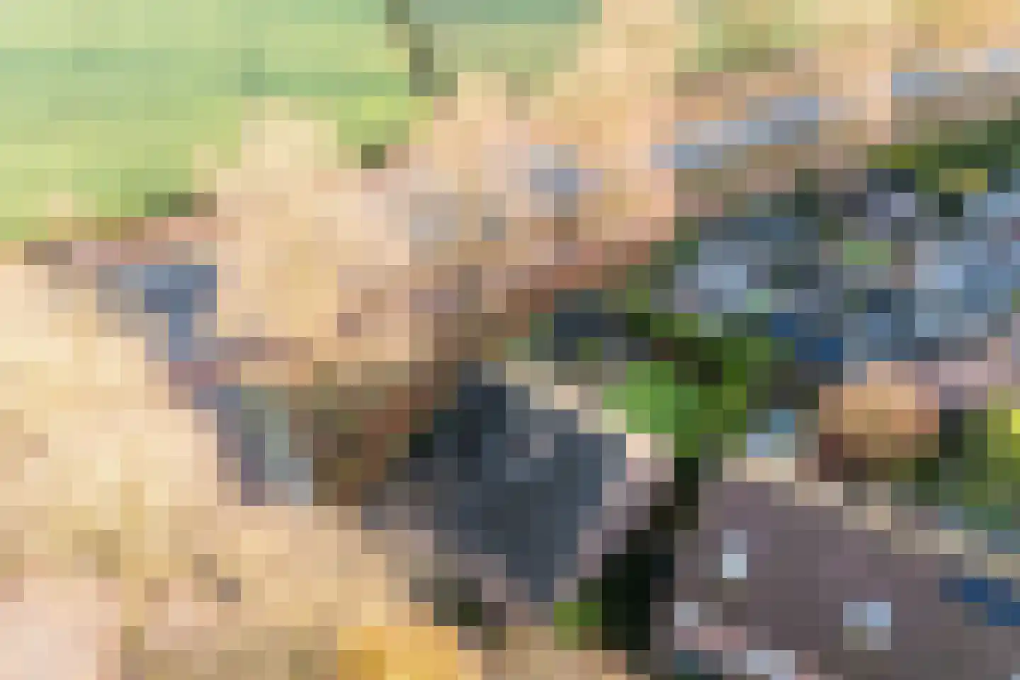 Stokekker 69 Bladel thumbnail 57