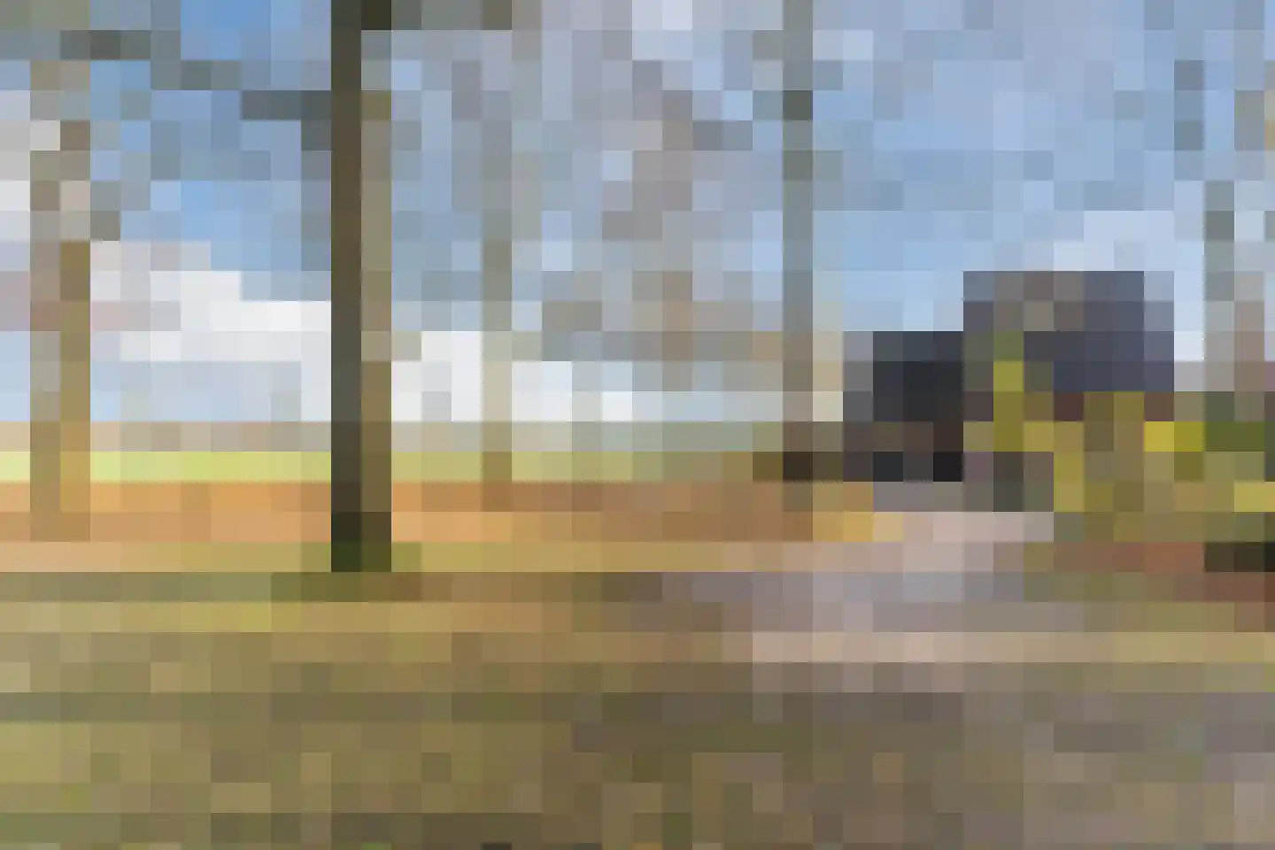 Stokekker 69 Bladel thumbnail 58