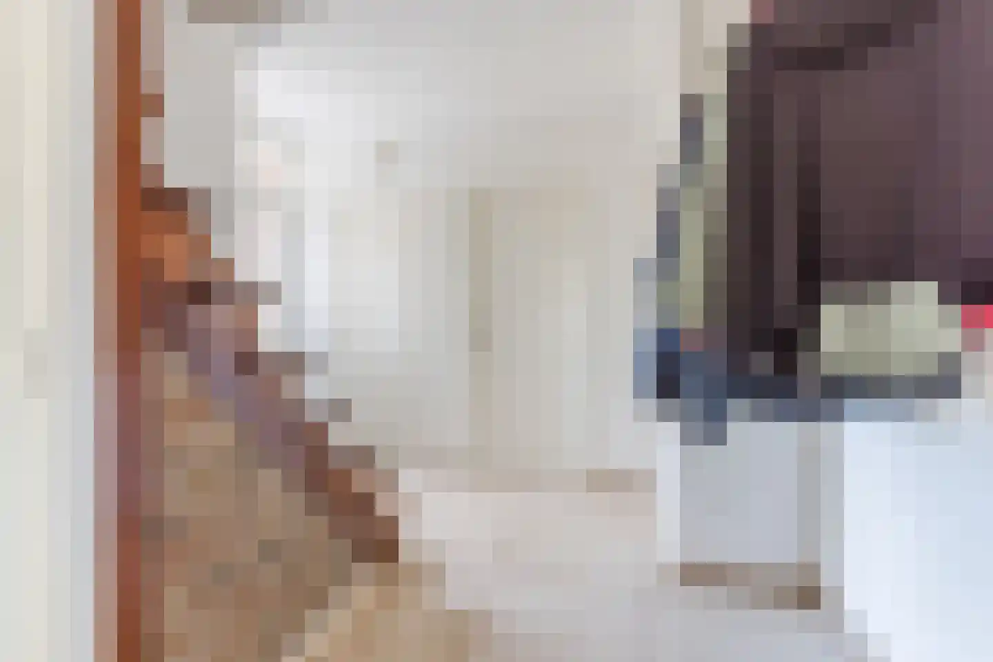 Stokekker 69 Bladel thumbnail 6