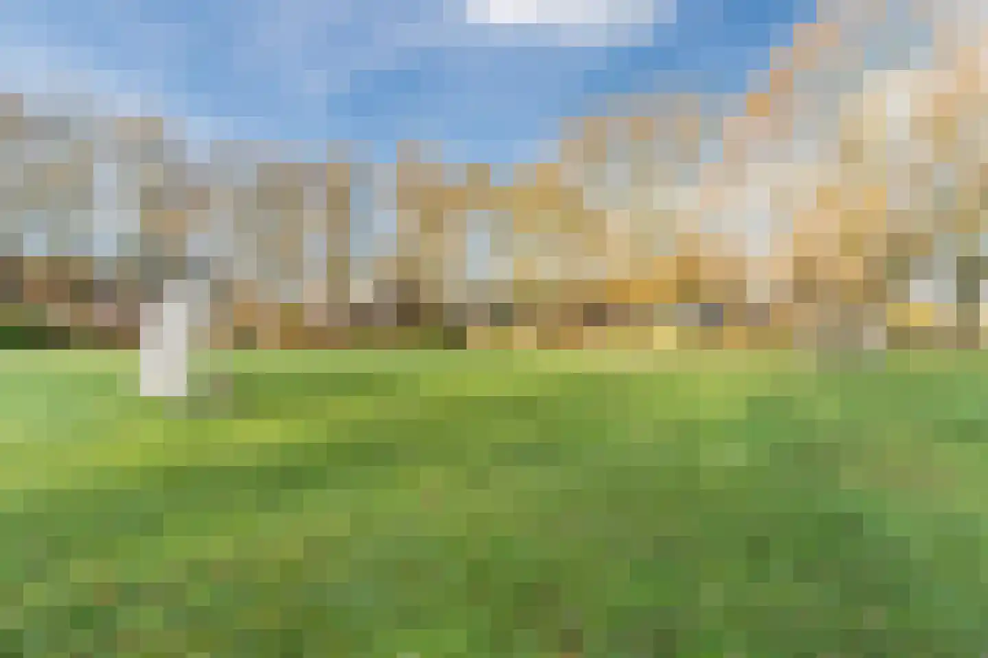 Stokekker 69 Bladel thumbnail 65