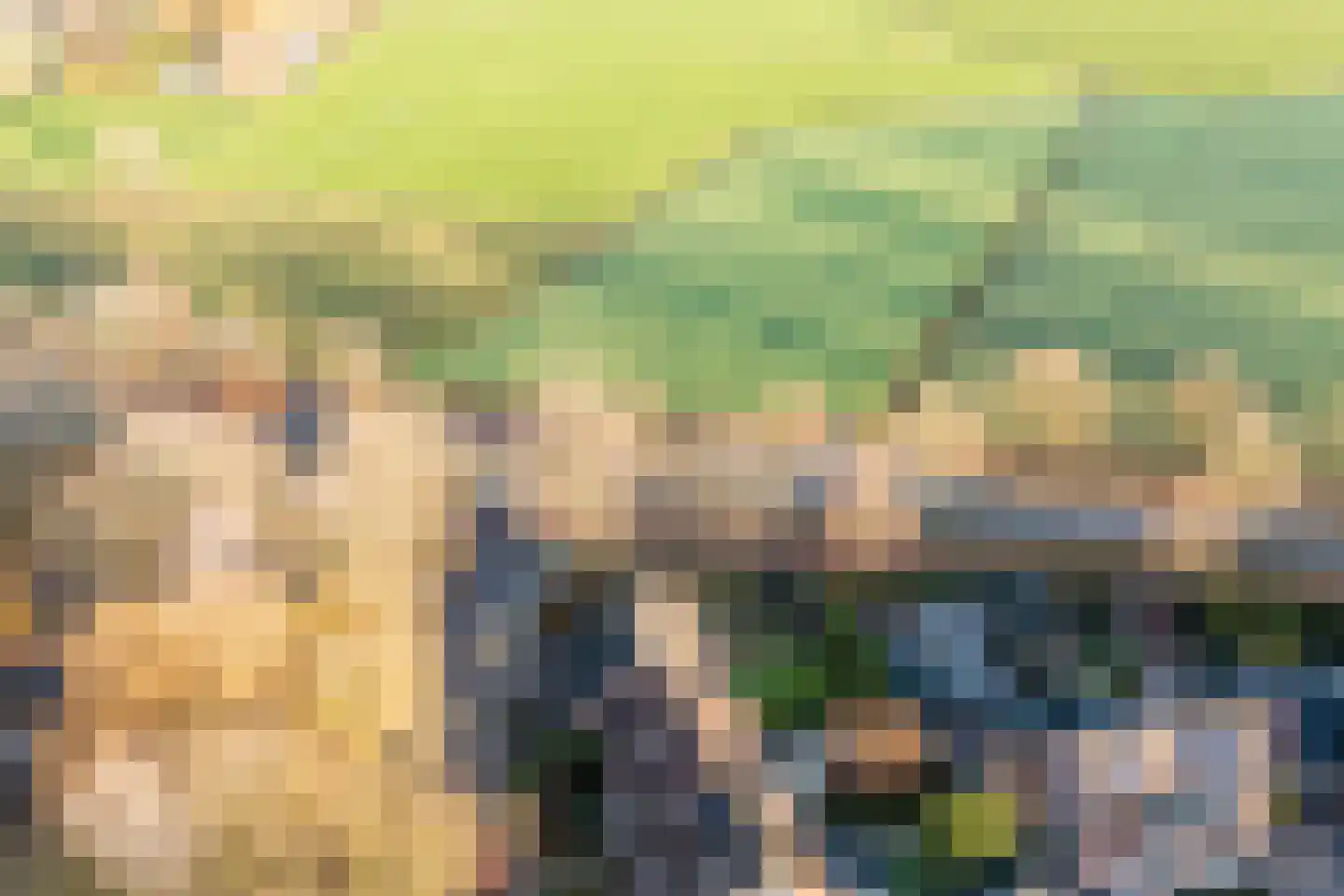 Stokekker 69 Bladel thumbnail 69