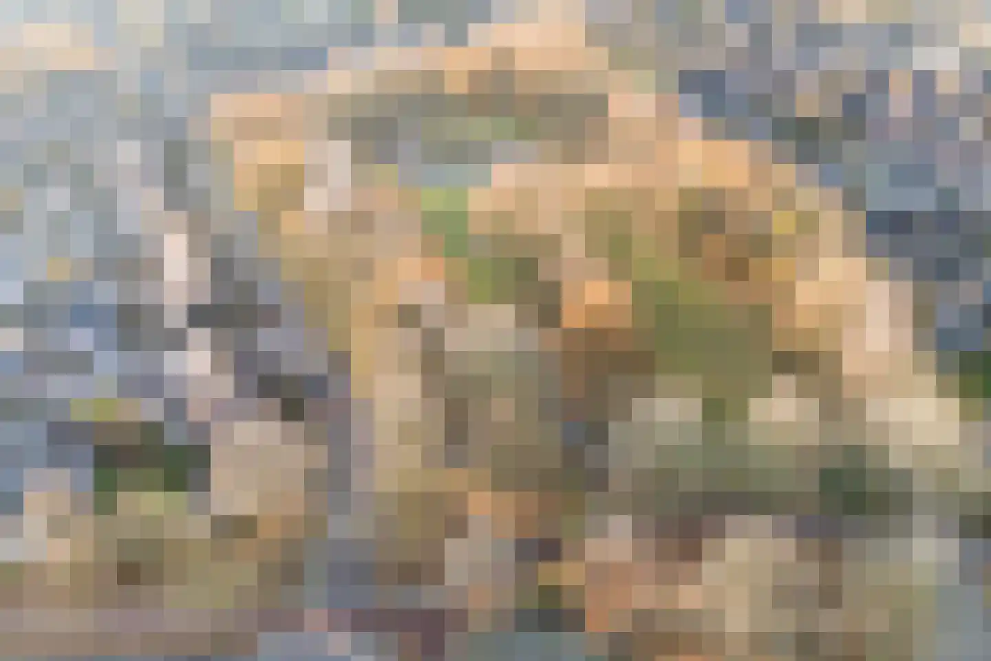 Stokekker 69 Bladel thumbnail 70
