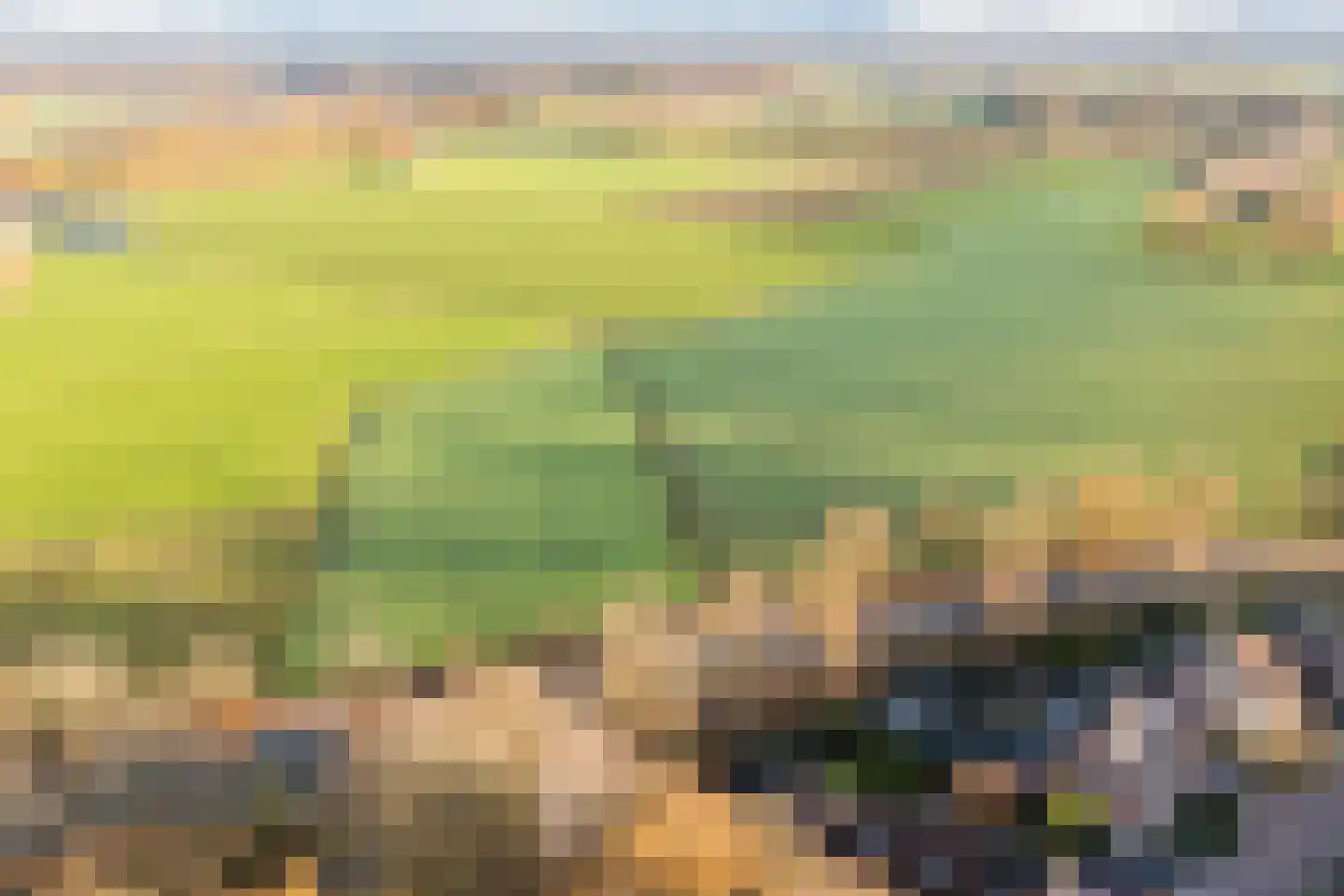 Stokekker 69 Bladel thumbnail 72