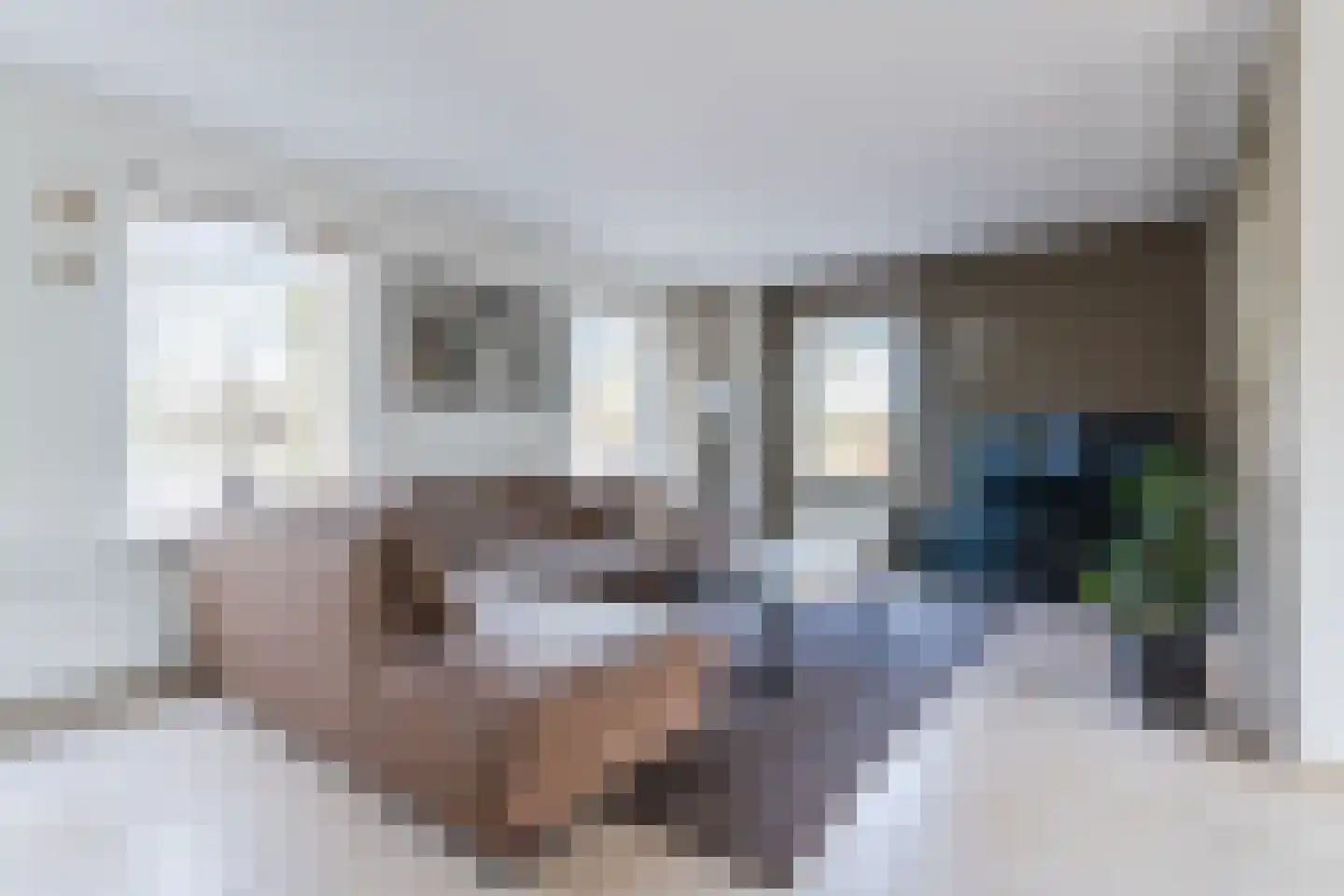 Stokekker 69 Bladel thumbnail 8