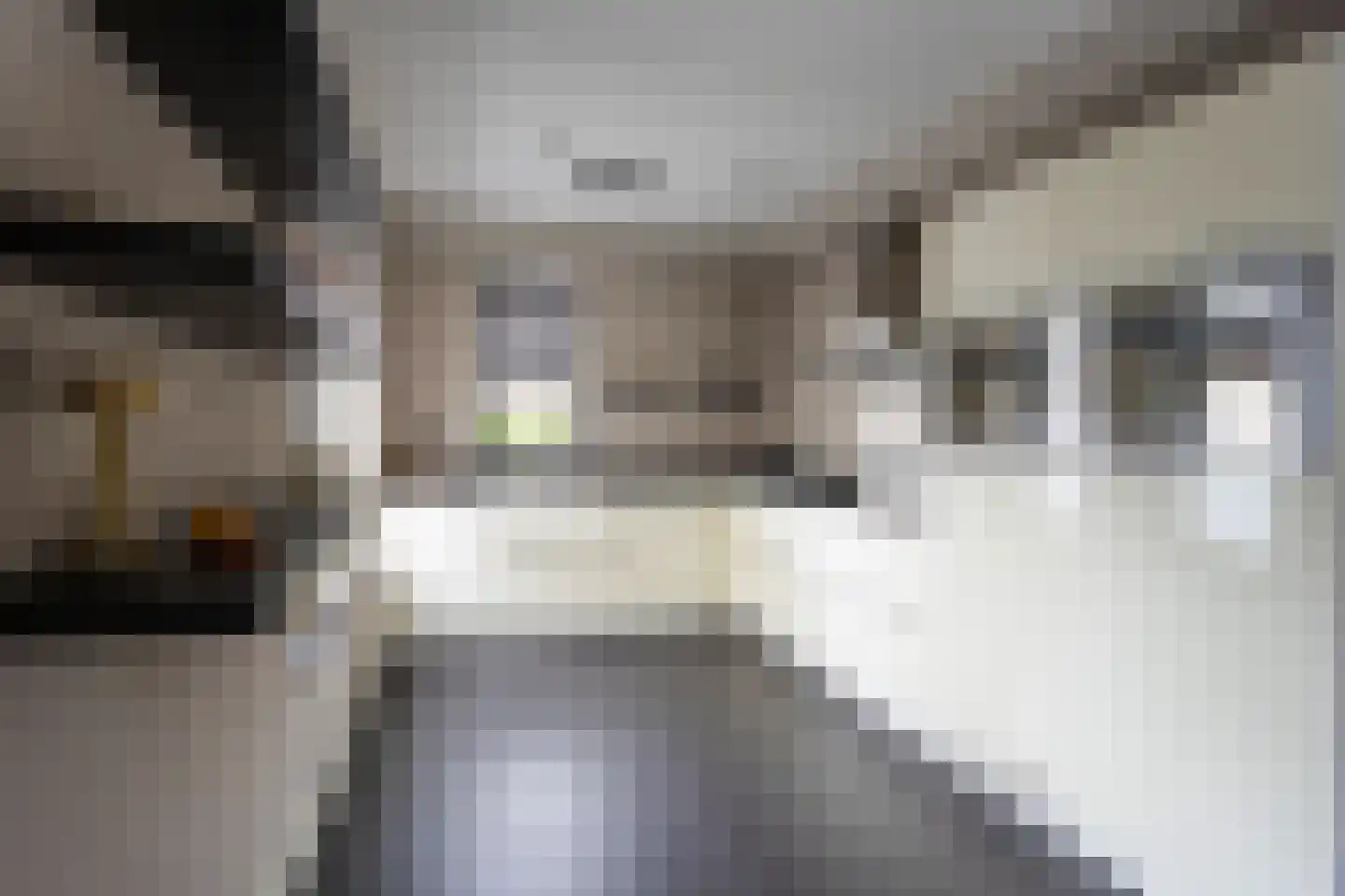 Stoker 11 Druten thumbnail 10