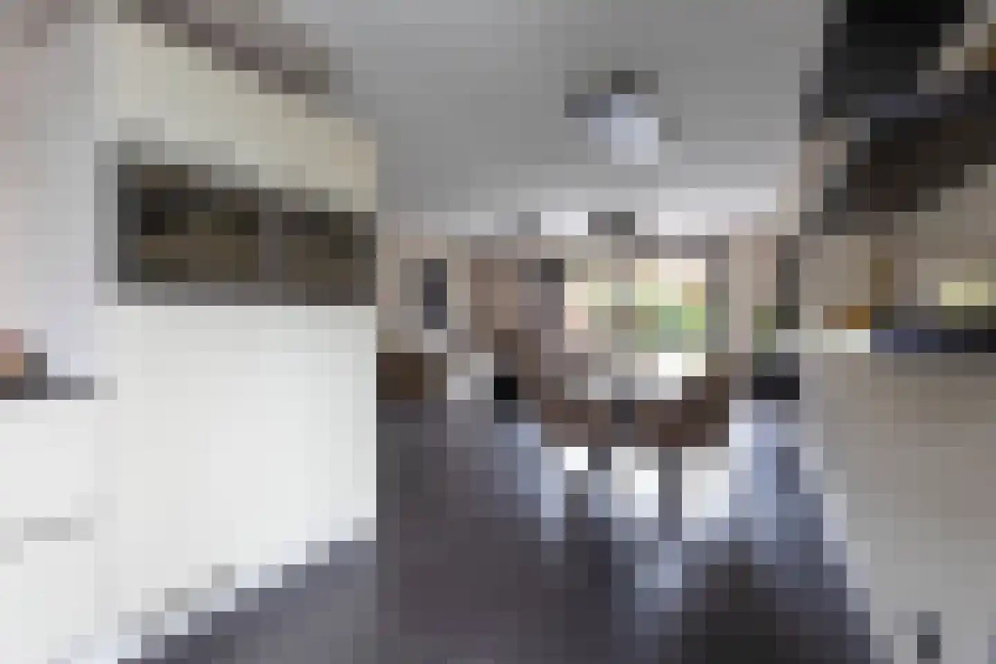 Stoker 11 Druten thumbnail 13