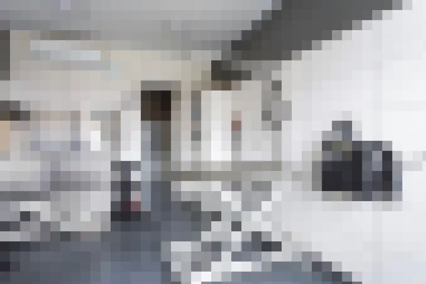 Stoker 11 Druten thumbnail 33