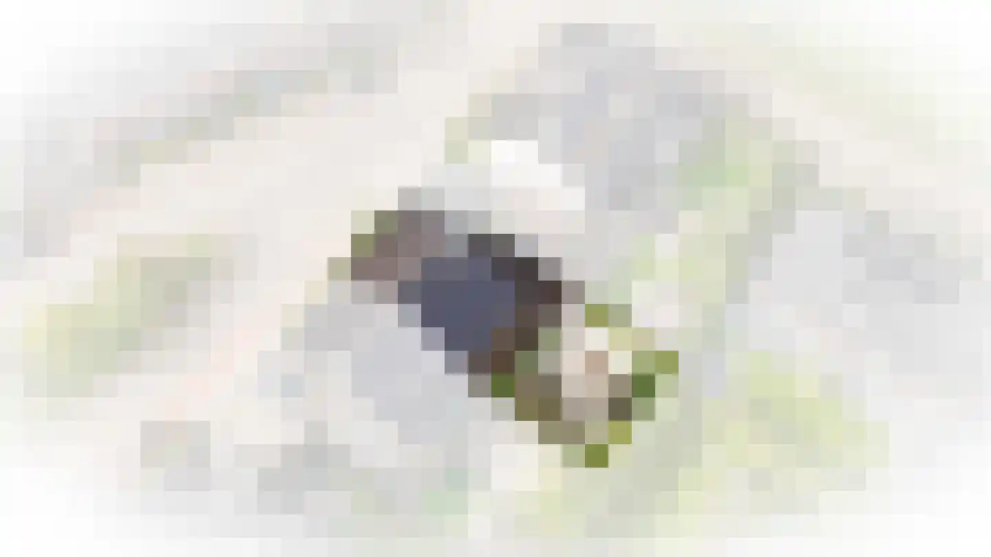 Stoker 5 Druten thumbnail 44