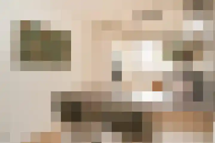 Stoker 9 Druten thumbnail 10