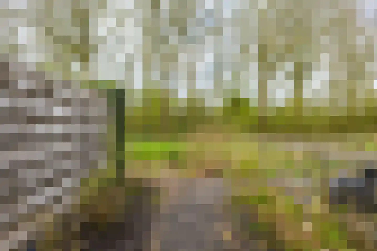 Stokerij 21 Gorredijk thumbnail 14