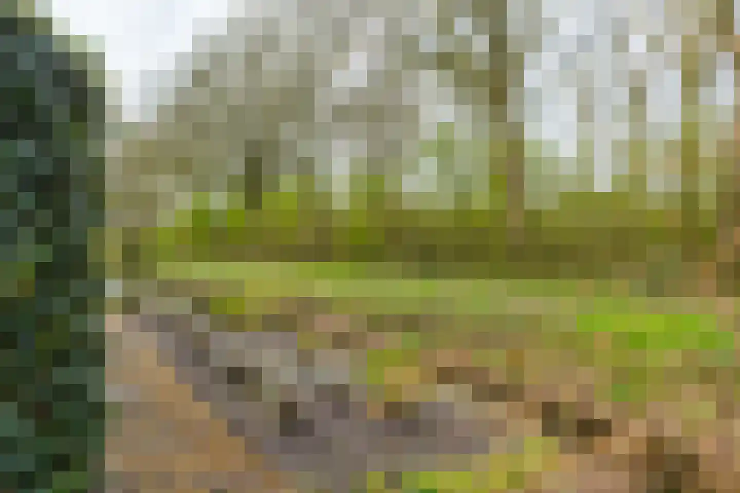 Stokerij 21 Gorredijk thumbnail 15