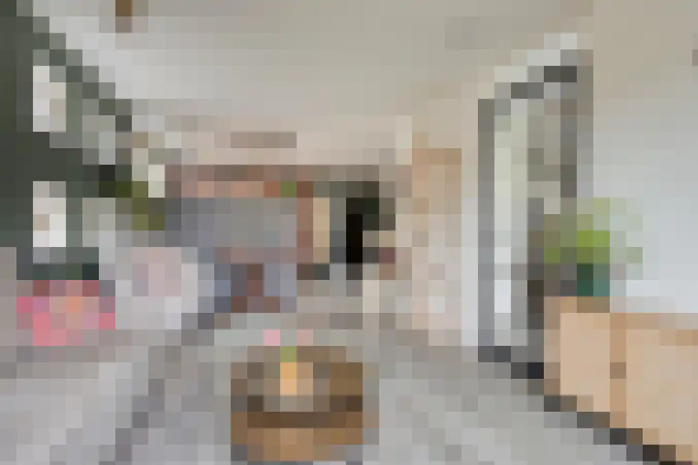 Stokerij 47 Gorredijk thumbnail 16