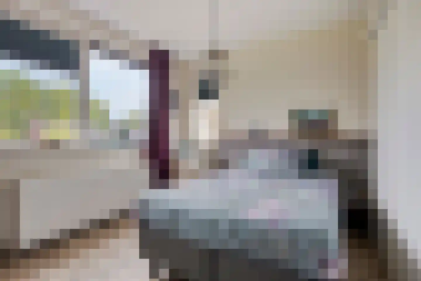 Stokerij 47 Gorredijk thumbnail 32