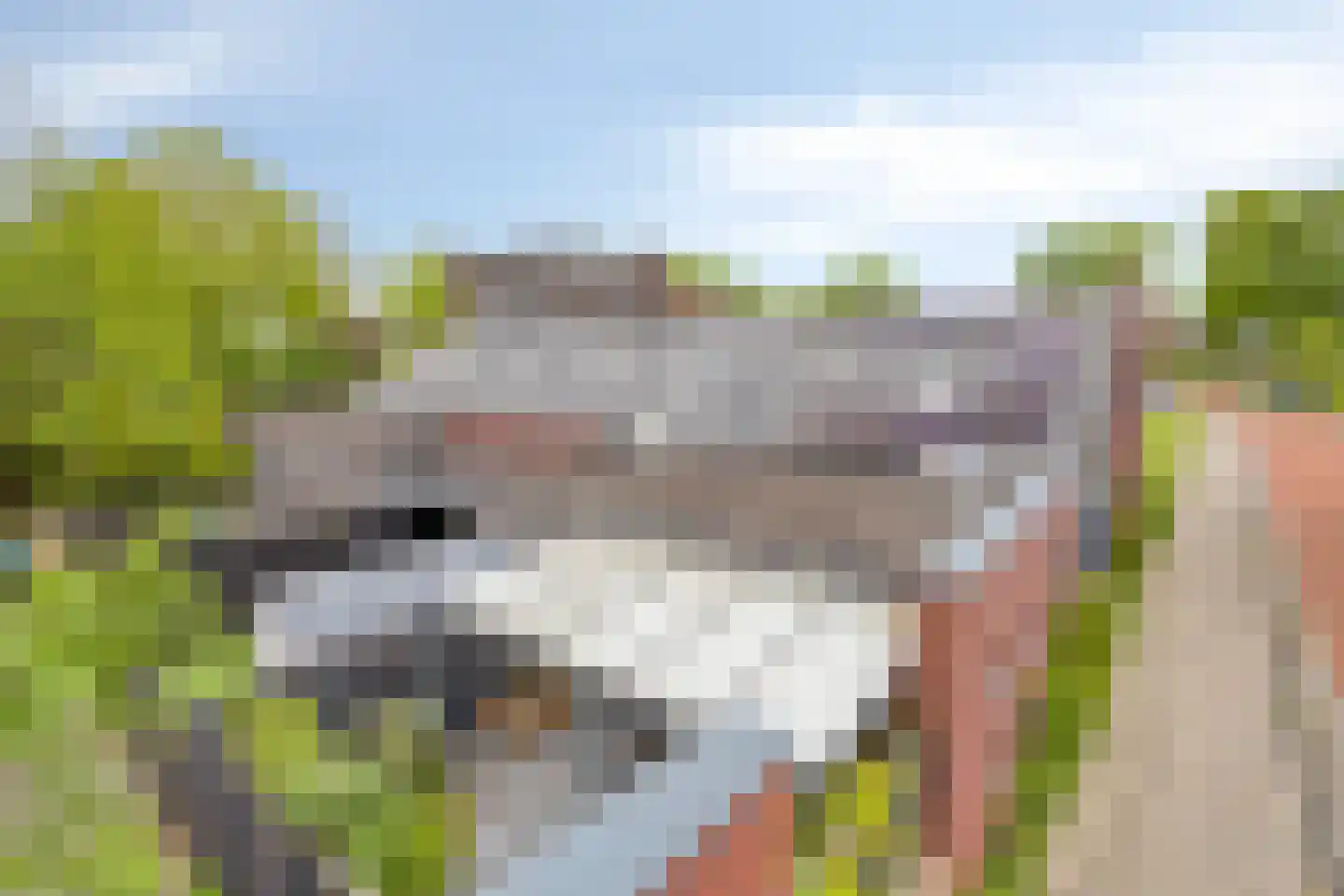Stokerij 47 Gorredijk thumbnail 41