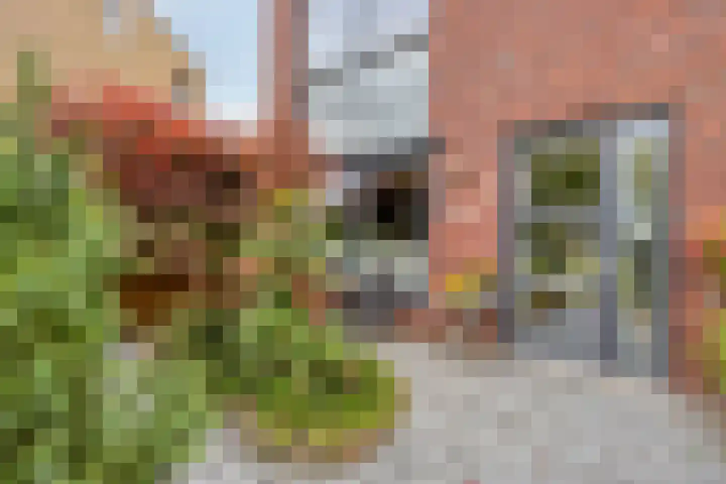 Stokerij 47 Gorredijk thumbnail 9