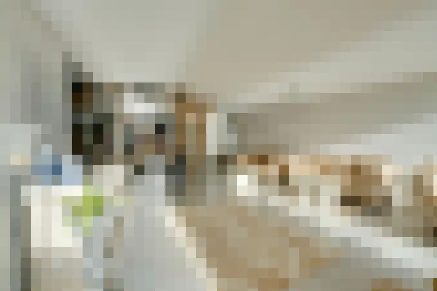 Stokerkade 104 Amsterdam thumbnail 10