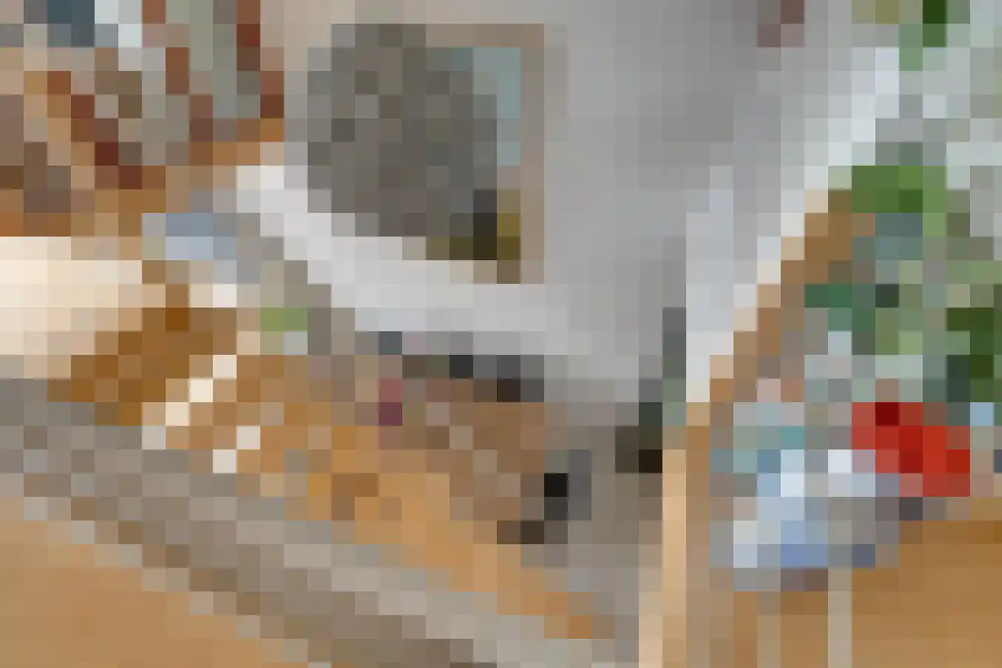 Stokerkade 104 Amsterdam thumbnail 22
