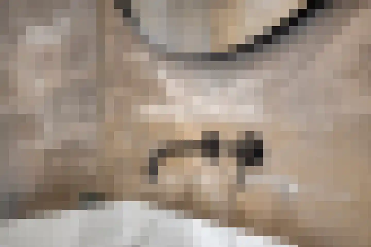 Stokerserf 12 Eerbeek thumbnail 41