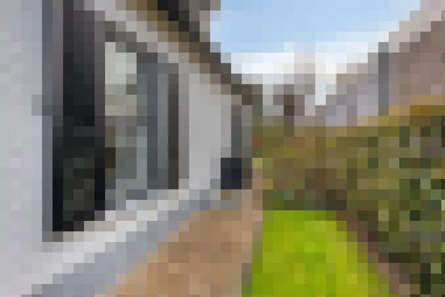 Stokerserf 12 Eerbeek thumbnail 64