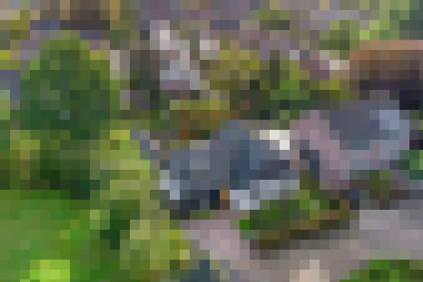 Stokerserf 12 Eerbeek thumbnail 65