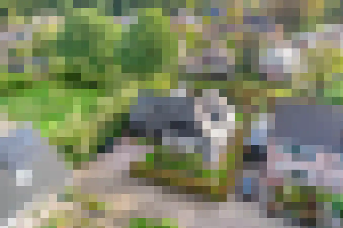 Stokerserf 12 Eerbeek thumbnail 66