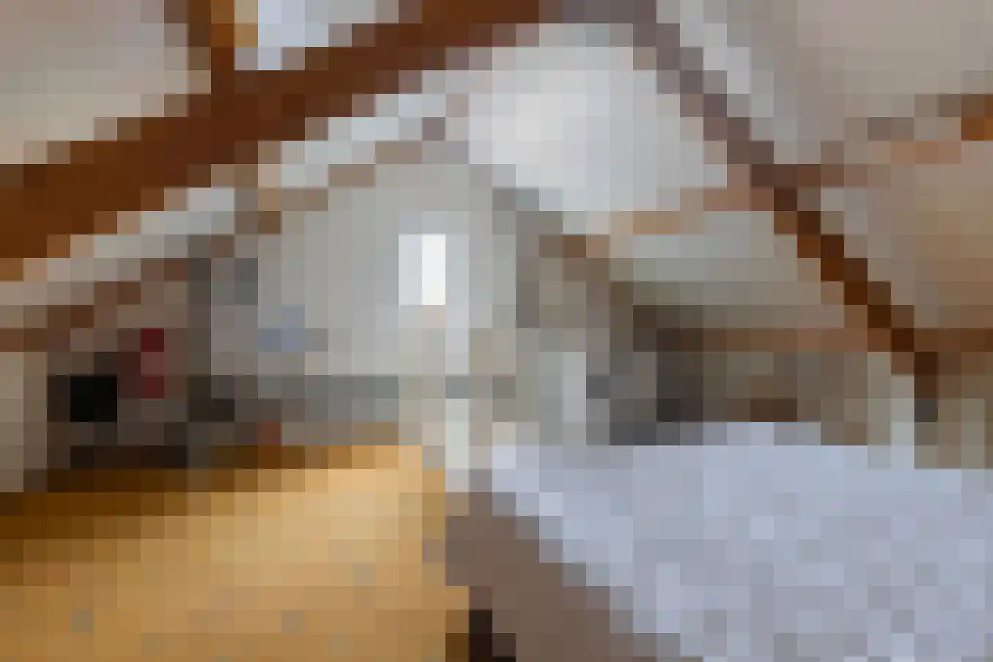 Stokerserf 8 Eerbeek thumbnail 32