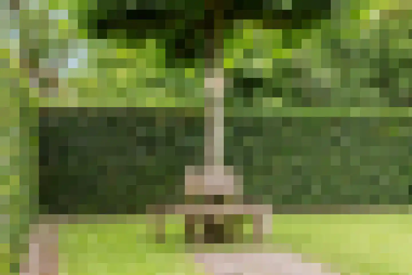 Stokerserf 8 Eerbeek thumbnail 36