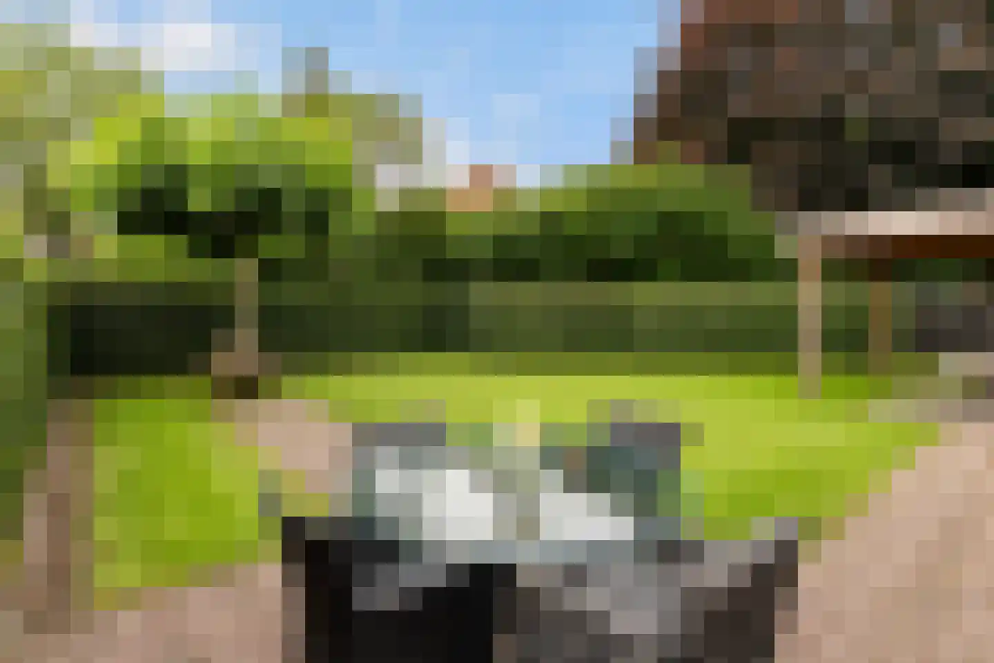 Stokerserf 8 Eerbeek thumbnail 39