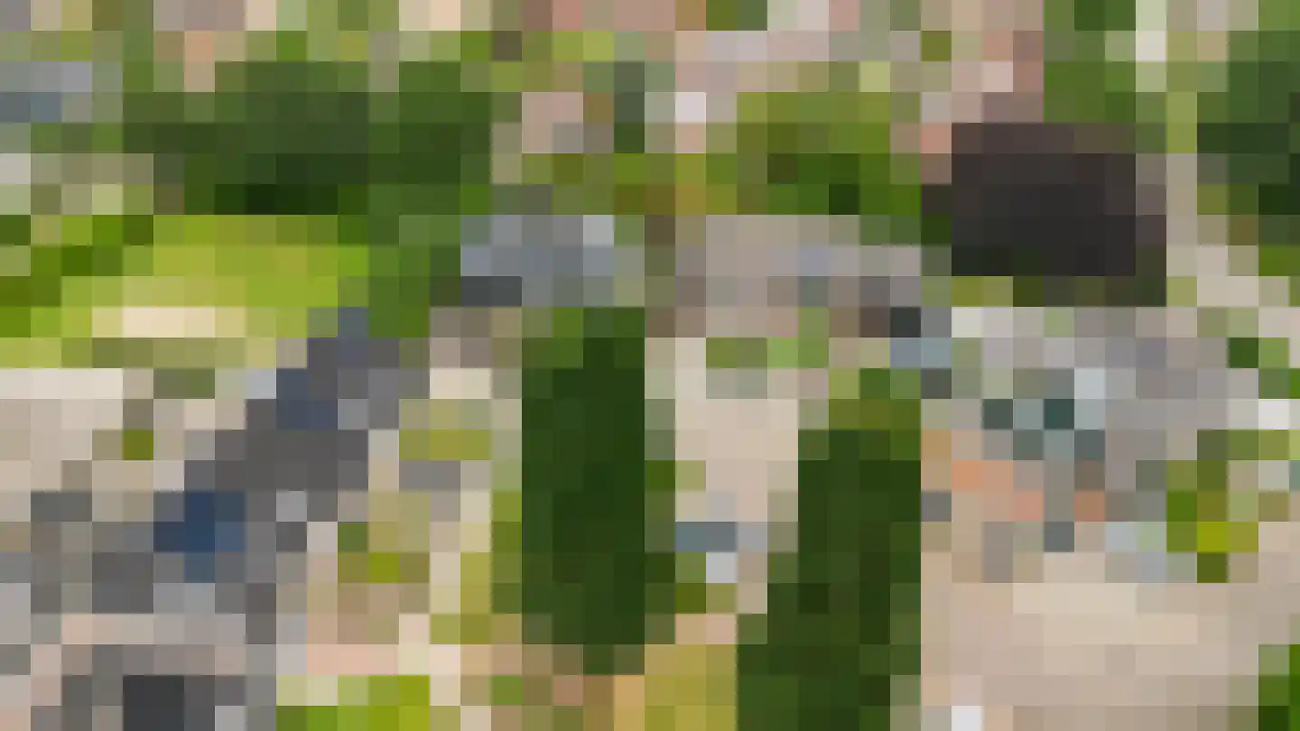 Stokerserf 8 Eerbeek thumbnail 41
