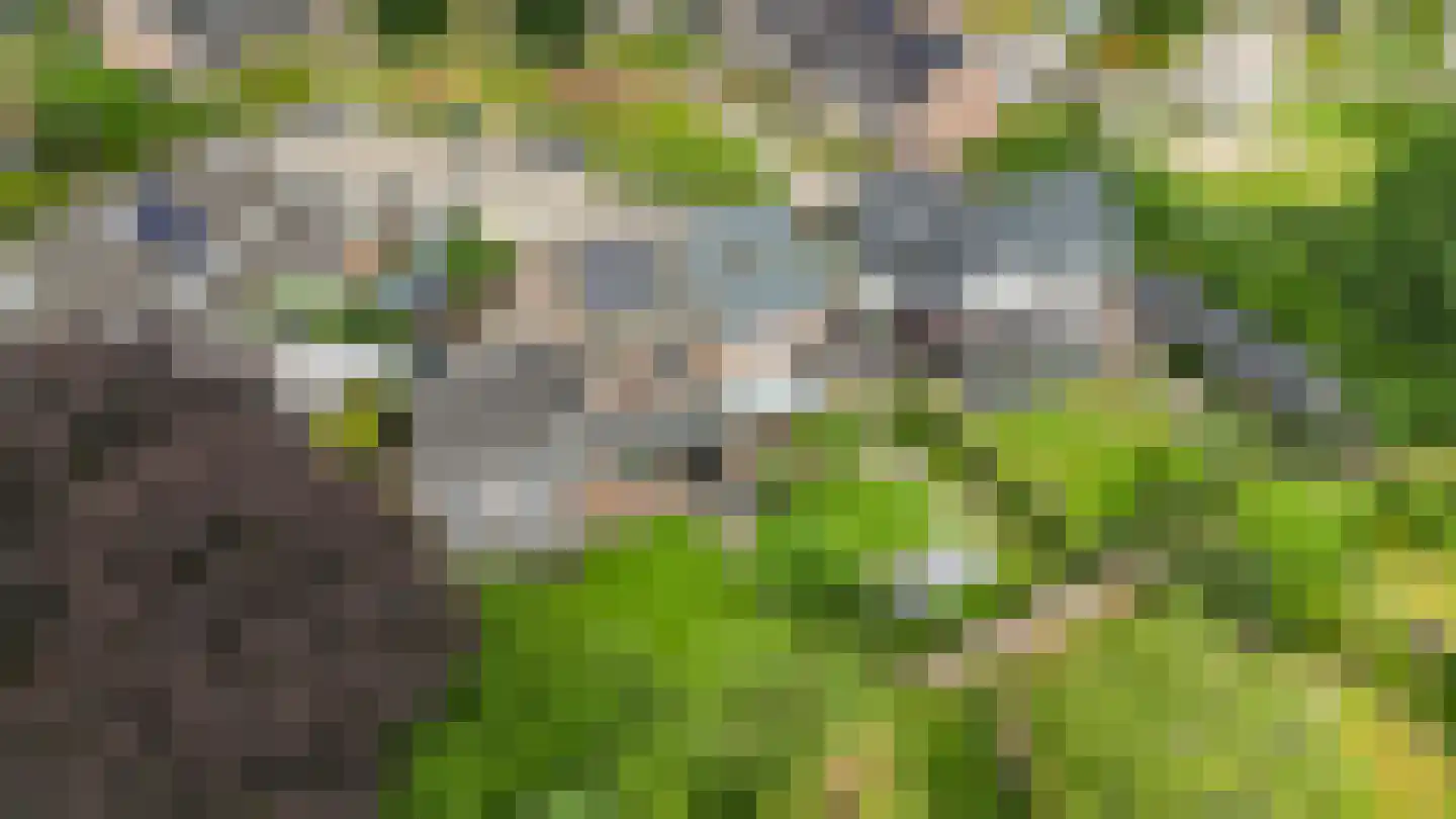 Stokerserf 8 Eerbeek thumbnail 42