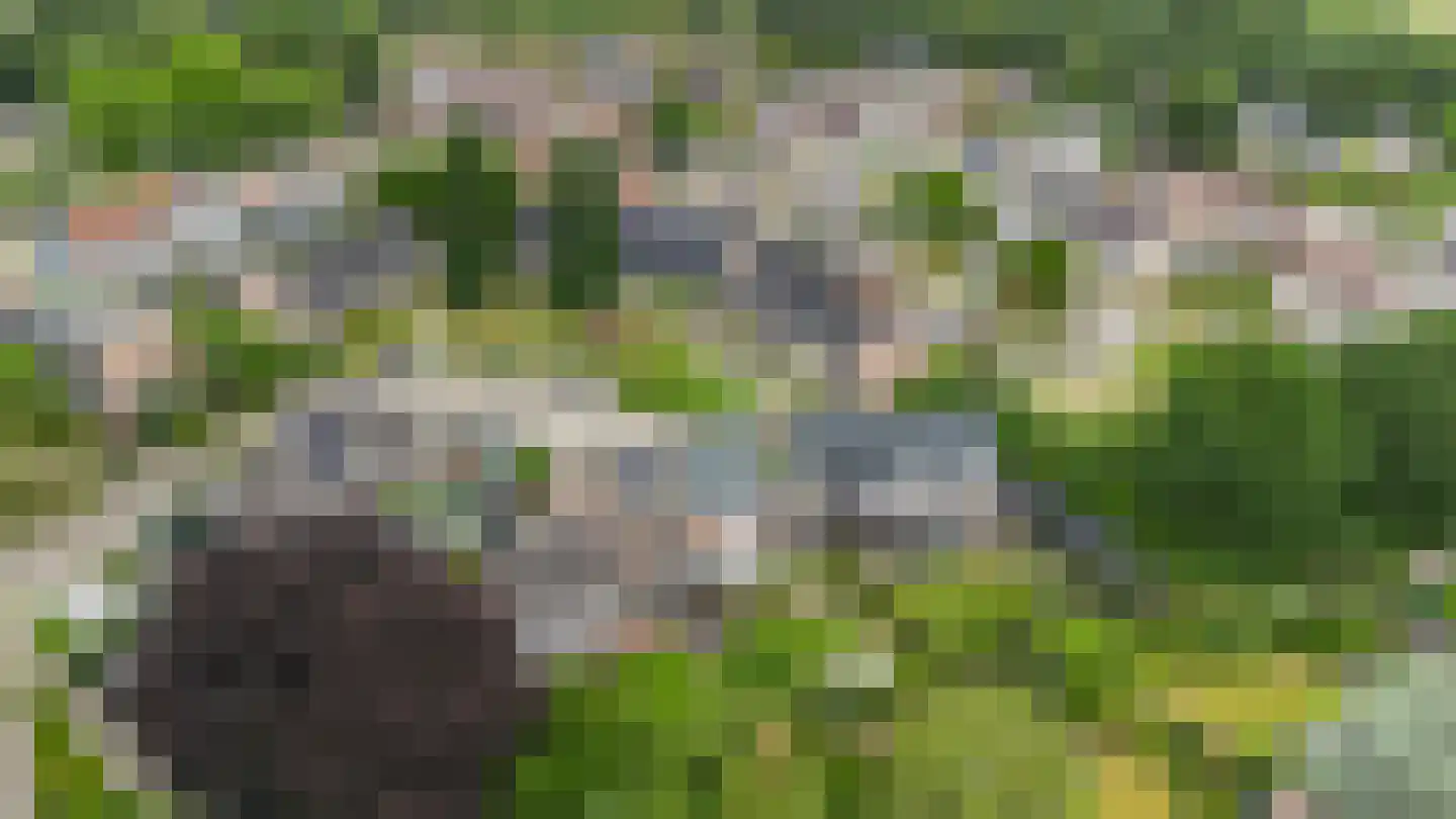 Stokerserf 8 Eerbeek thumbnail 44