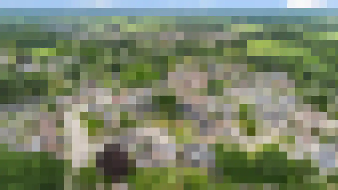 Stokerserf 8 Eerbeek thumbnail 46