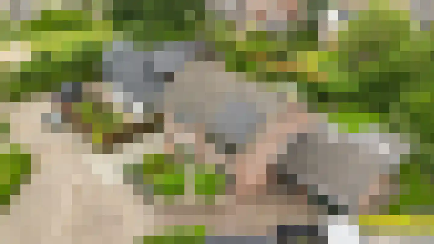 Stokerserf 8 Eerbeek thumbnail 6