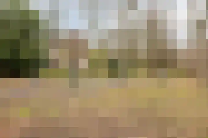 Stokerwei 11 Valkenswaard thumbnail 37