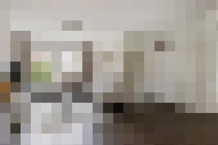 Stokerwei 11 Valkenswaard thumbnail 8