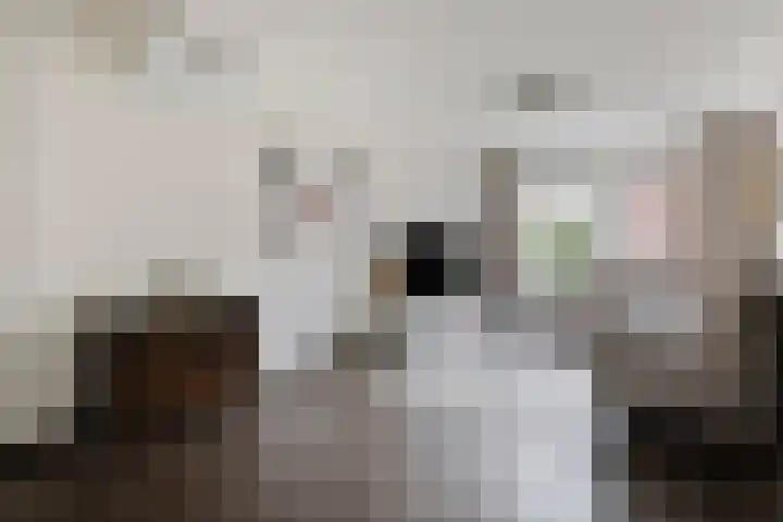 Stokerwei 11 Valkenswaard thumbnail 9