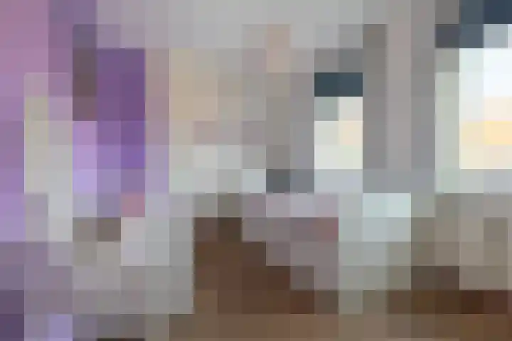 Stokhem 49 Wijlre thumbnail 10