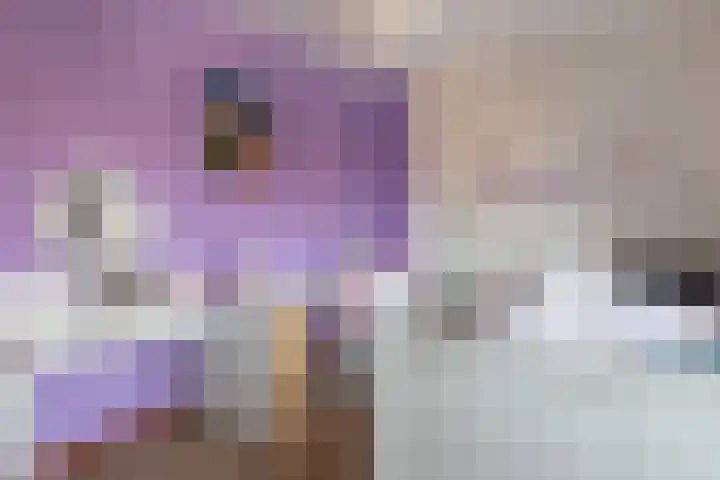 Stokhem 49 Wijlre thumbnail 11