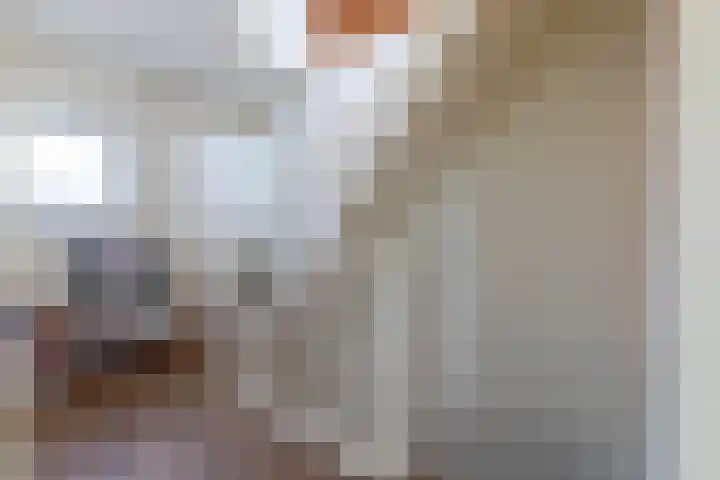 Stokhem 49 Wijlre thumbnail 16