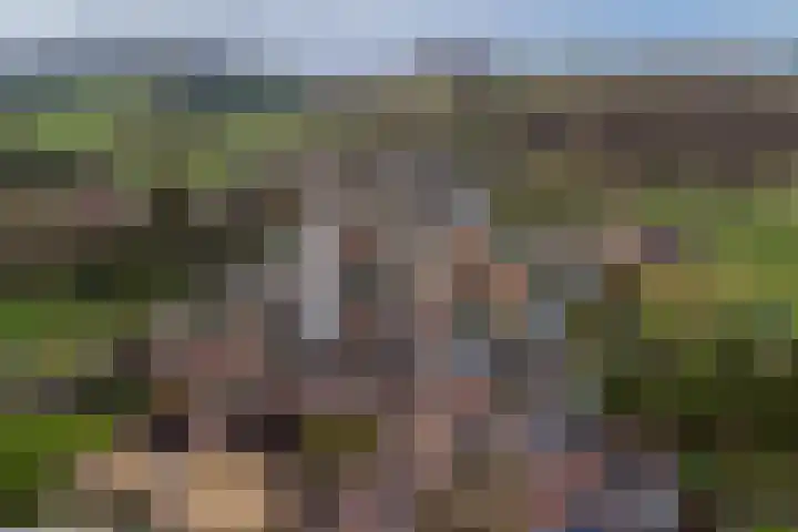 Stokhem 49 Wijlre thumbnail 22