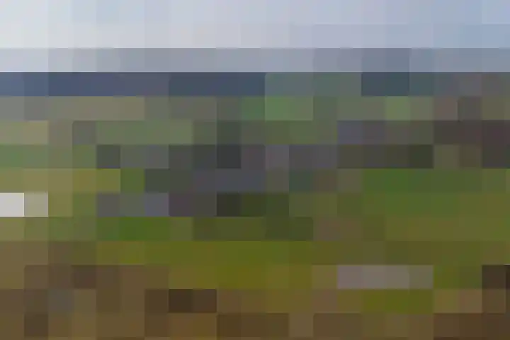 Stokhem 49 Wijlre thumbnail 23
