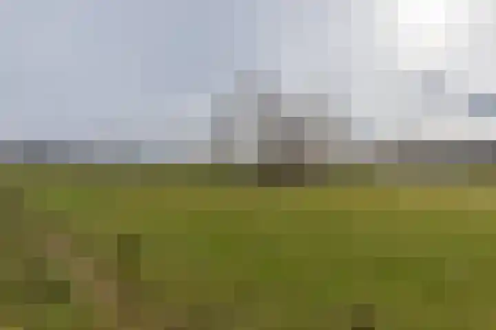 Stokhem 49 Wijlre thumbnail 24