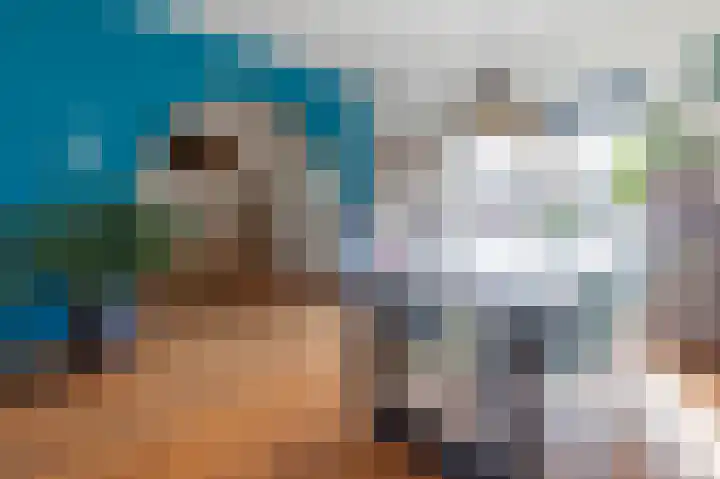 Stokhem 49 Wijlre thumbnail 5