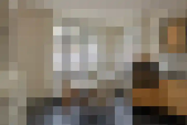 Stokhem 70 Wijlre thumbnail 18