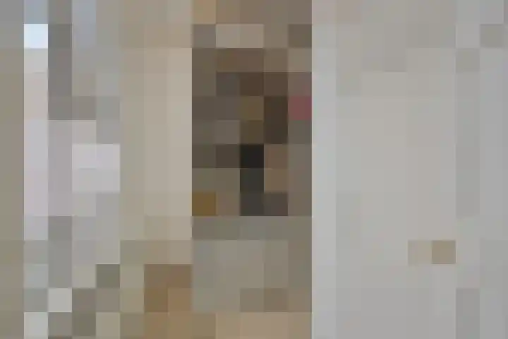 Stokhem 70 Wijlre thumbnail 24