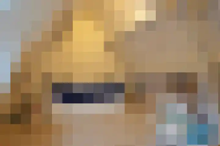 Stokhem 70 Wijlre thumbnail 29