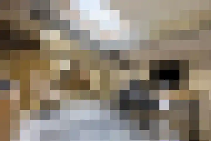 Stokhem 70 Wijlre thumbnail 33