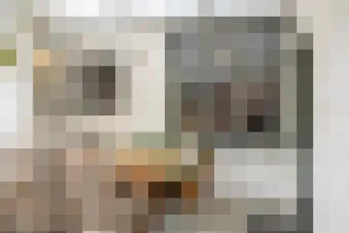 Stokhem 70 Wijlre thumbnail 36